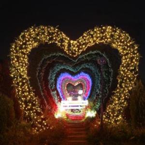 [은하수] 100구 투명선 LED 웜색 지니전구(10M) (전원잭포함)