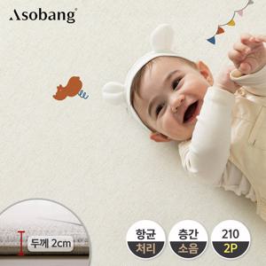 [아소방] 2P 프라임 놀이방매트 스프링 그라운드 210 (210x140x2cm)