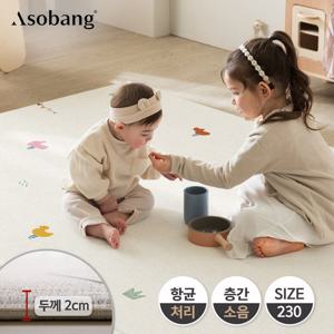 [아소방] 프라임 놀이방매트 스프링 그라운드 230 (230x140x2cm)