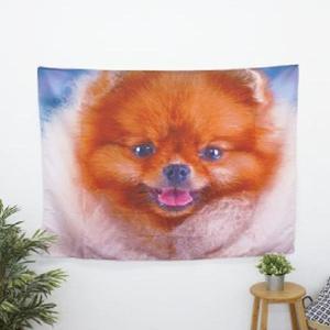 태피스트리 (포메리언)