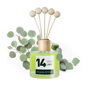 라비에 디퓨저 실내용120ml 유칼립투스 실내디퓨저
