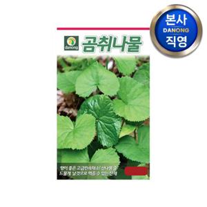 다농 곰취나물 씨앗 100립 . 야채 채소 텃밭 파종 재배 주말 농장 씨 종자.