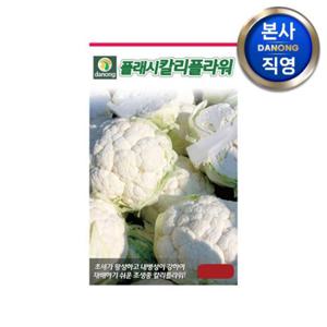 다농 플래시 칼리 플라워 씨앗 100립 . 콜리플라워 채소 텃밭 파종 씨 종자.
