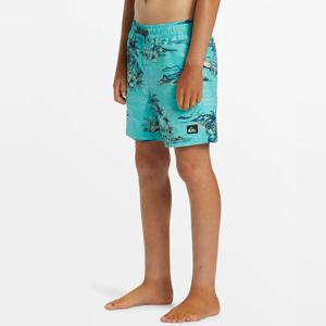 퀵실버 아동 보드숏 QS768BBB