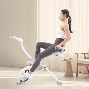 이고진 듀얼바이크 254 실내자전거 좌식 접이식 가정용 사이클 헬스 홈트 유산소 운동기구