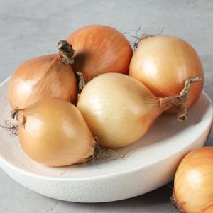 [농협청과33번] 양파 10kg - 중