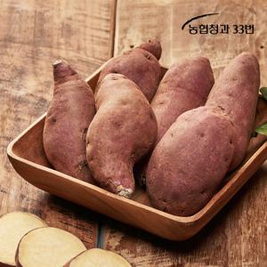 [농협청과33번] 25년 햇 꿀밤고구마 5kg 소/작은한입 (세척)