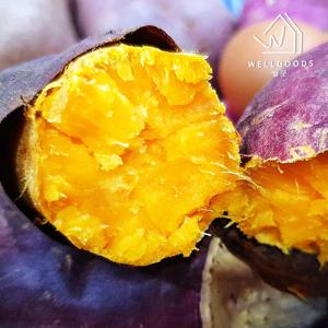 [웰굿] 풍원미 속이 노란 당근 고구마 5kg(한입,개당20-50g)