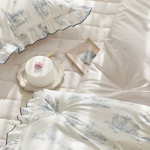 [파르페by알레르망] 피에르 알러지케어 다운필 차렵이불 Q