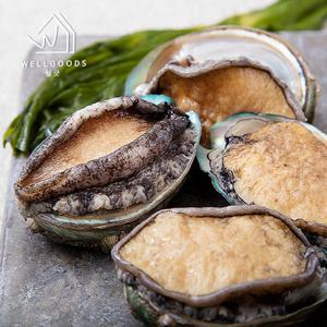 [웰굿] 명품 싱싱한 완도 활 전복 1kg(15-16마리,중)