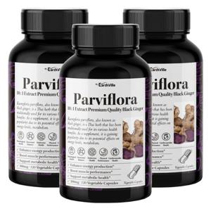 어스빌 파비플로라 흑생강 블랙진저 10배농축 추출물 500mg 120베지캡슐 3병