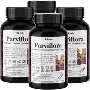 어스빌 파비플로라 흑생강 블랙진저 10배농축 추출물 500mg 120베지캡슐 4병