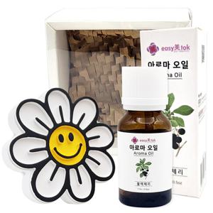 바오밥 석고 차량용 방향제 데이지 생일 신차 새차 자동차 안전