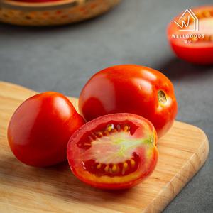 [웰굿] 스테비아 방울 토마토 2kg(500gx4)