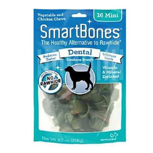 스마트본 덴탈 미니 (16P) (치석.구취)