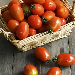 [작심밀도]달곰마토 스테비아 방울토마토 2kg / 산지직송