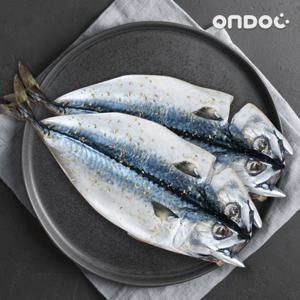 [온도씨]제주 손질 자반고등어 2.4kg (특/6마리/마리당400g-459g)