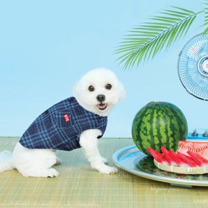 [BYC 본사] 개리야스 모시메리 ODM000202