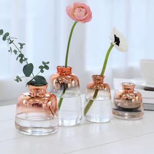 인테리어 유리 화병 미니 꽃병 디퓨저병