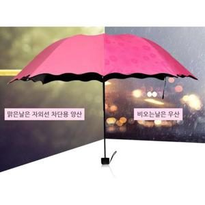 비오면 꽃피는 플라워 양우산 자외선차단 uv차단우산