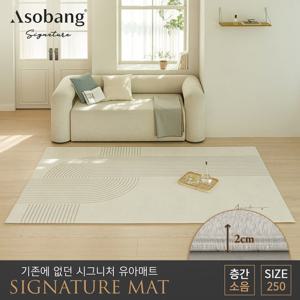 [아소방] 시그니처 유아 놀이방매트 플로우 250 (250x150x2cm)