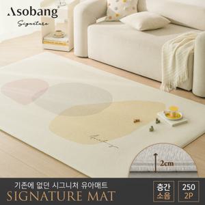 [아소방] 2P 시그니처 유아 놀이방매트 블리스  250 (250x150x2cm)