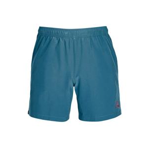 [보드라이더스]퀵실버 남성 다크네이비 보드숏 17(QE21BS184CLB)