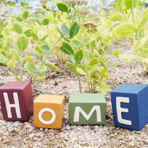 아트박스/컨츄리아이템 칼라 홈 블럭 4종