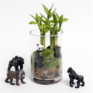 아트박스/러브피어리 러브피어리 테라리움 대나무숲 동물피규어