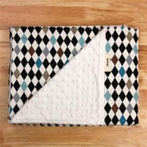 아트박스/빠띠라인 320g 극세사 양면 무릎담요 14종 택1  AMBL