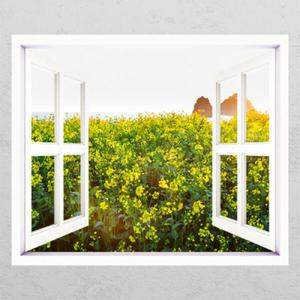 아트박스/꾸밈 is198-노을진 유채꽃 밭_창문그림액자_뮤럴시트지