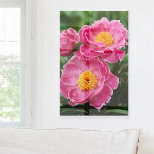 아트박스/꾸밈 ia838-아크릴액자_부귀의풍수모란꽃(대형)