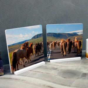 아트박스/꾸밈 pf104-스탠드액자2P성공을향해질주하는말3