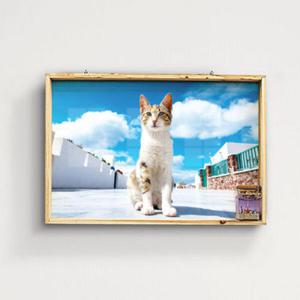 아트박스/꾸밈 tg812-우드프레임액자_맑은하늘아래고양이(대형)