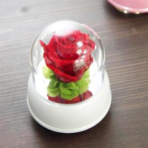 아트박스/더봄 레드 장미 미니 오르골