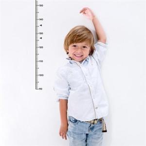 아트박스/디자인아지트 [기성]키재기자 그래픽스티커심플