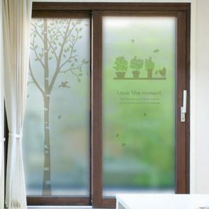 아트박스/꾸밈 th035-화분이있는자작나무숲_유리문시트지