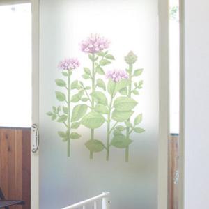 아트박스/꾸밈 cj878-오레가노_유리문시트지