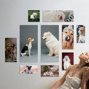 아트박스/꾸밈 if405-멀티액자_여러강아지종