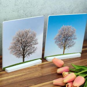 아트박스/꾸밈 pa854-스탠드액자2P_언덕위에벚꽃나무