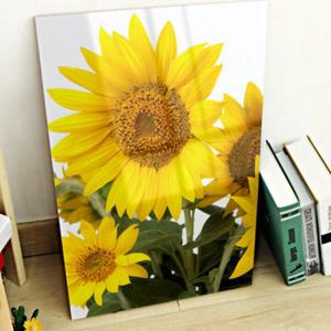 아트박스/꾸밈 tm321-아크릴액자_태양의해바라기(대형)