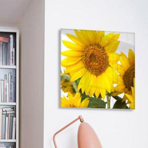아트박스/꾸밈 tm322-아크릴액자_태양의해바라기(중형)
