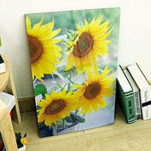 아트박스/꾸밈 ci535-아크릴액자_생각하는해바라기