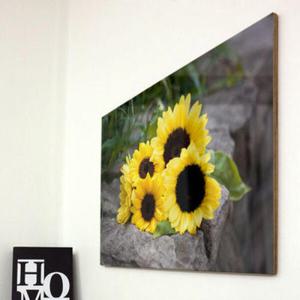 아트박스/꾸밈 tk500-아크릴액자_복을담은해바라기