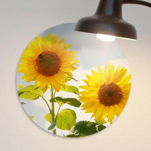 아트박스/꾸밈 cs899-원형아크릴액자_꿀벌과해바라기