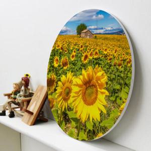 아트박스/꾸밈 cc718-원형아크릴액자_풍수해바라기들