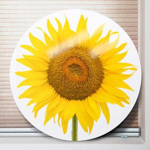 아트박스/꾸밈 ci577-원형아크릴액자_풍수재물해바라기