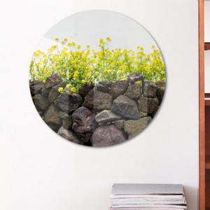 아트박스/꾸밈 ci616-원형아크릴액자_유채꽃제주도돌담