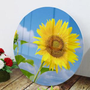 아트박스/꾸밈 tm379-원형아크릴액자_풍수의꽃해바라기