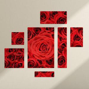 아트박스/꾸밈 cf187-멀티액자_붉은장미